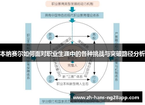 本纳赛尔如何面对职业生涯中的各种挑战与突破路径分析