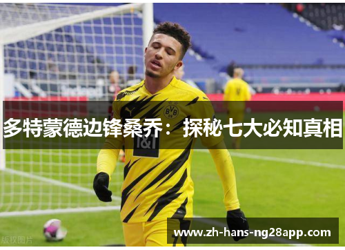 多特蒙德边锋桑乔：探秘七大必知真相