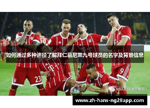 如何通过多种途径了解拜仁慕尼黑九号球员的名字及背景信息